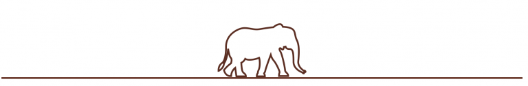 un éléphant seul marche vers la droite rappelant la logo de l'organisme de formation giraphe